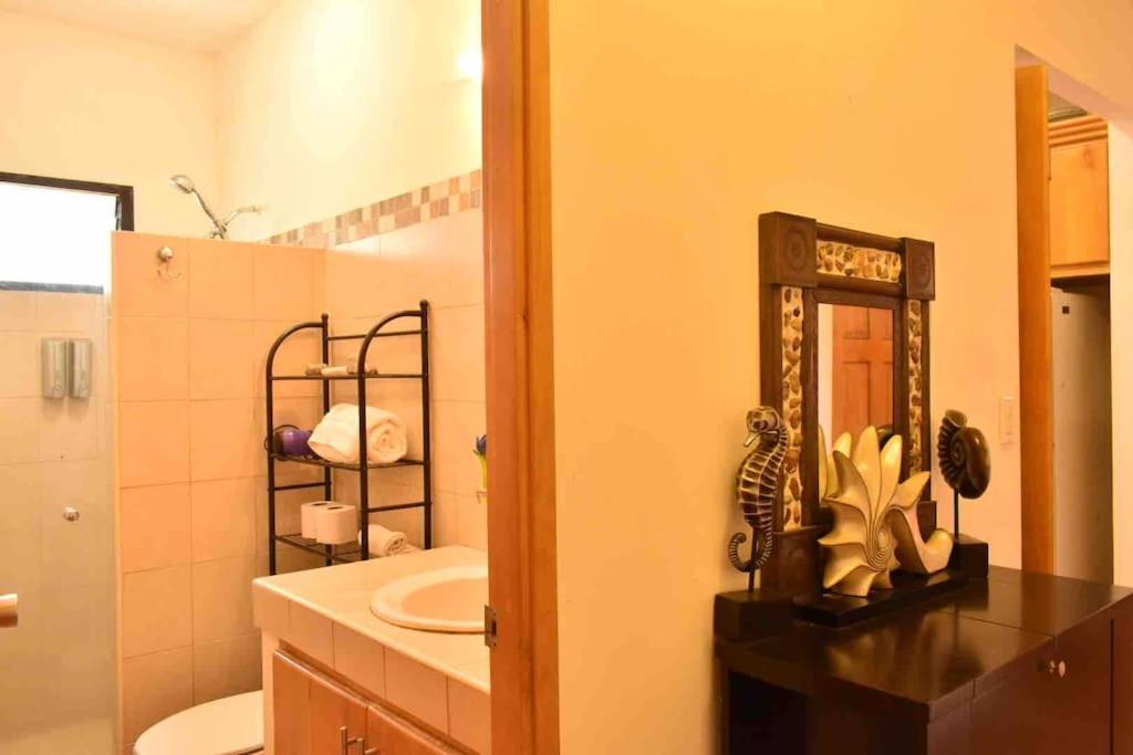 ラパスCasa Palmaアパートメント エクステリア 写真